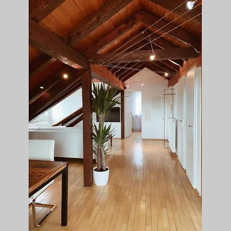 Appartamento *Dreilaendereck* Wifi+ Balkon+Garage Basel Mulhouse Maulburg Esterno foto