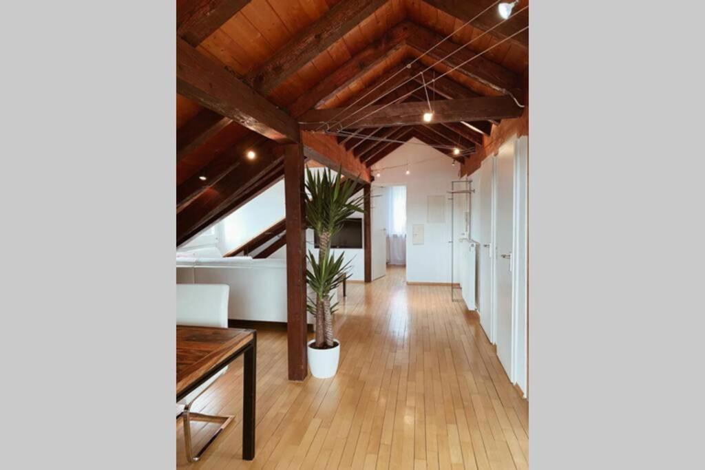 Appartamento *Dreilaendereck* Wifi+ Balkon+Garage Basel Mulhouse Maulburg Esterno foto