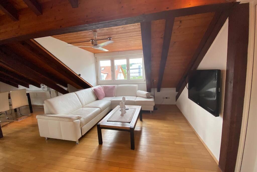 Appartamento *Dreilaendereck* Wifi+ Balkon+Garage Basel Mulhouse Maulburg Esterno foto