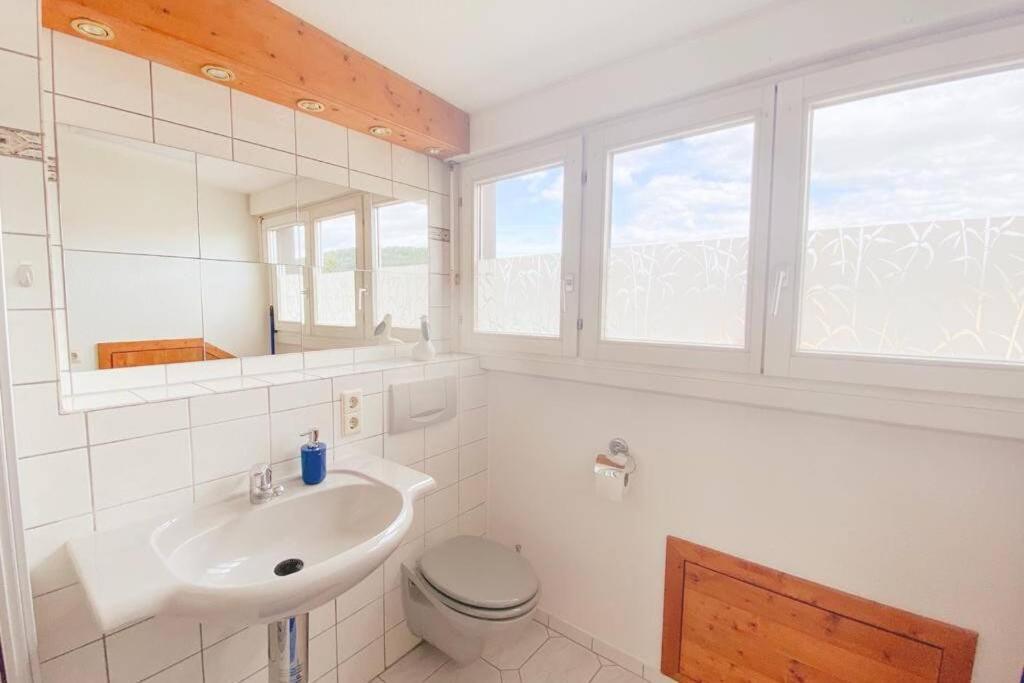 Appartamento *Dreilaendereck* Wifi+ Balkon+Garage Basel Mulhouse Maulburg Esterno foto